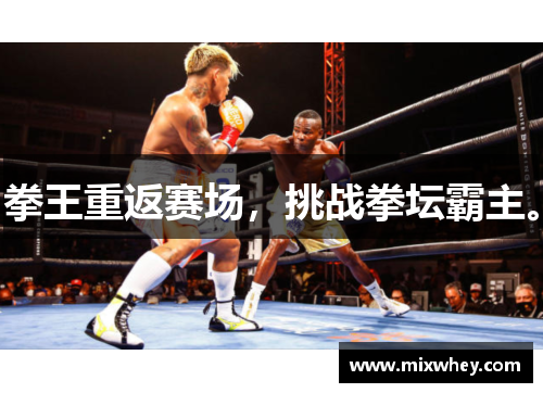 拳王重返赛场，挑战拳坛霸主。